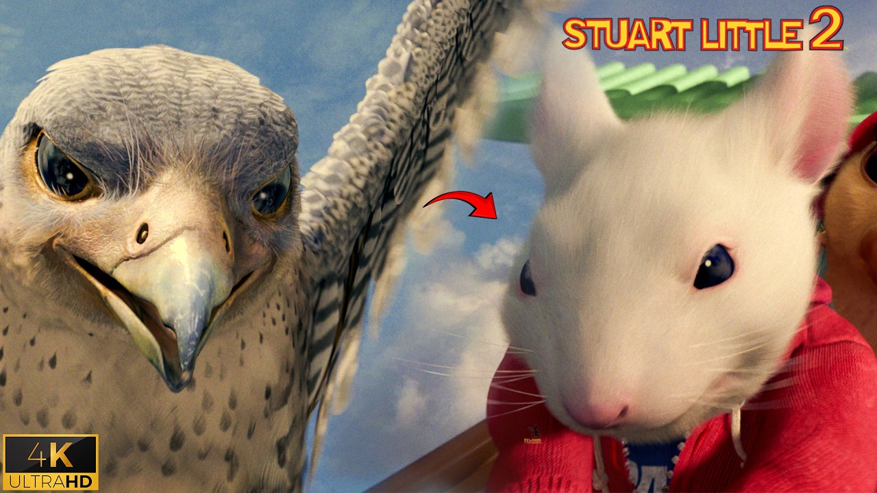 Falcon Attacks Stuart Little - Rooftop Battle Scene | Stuart Little 2