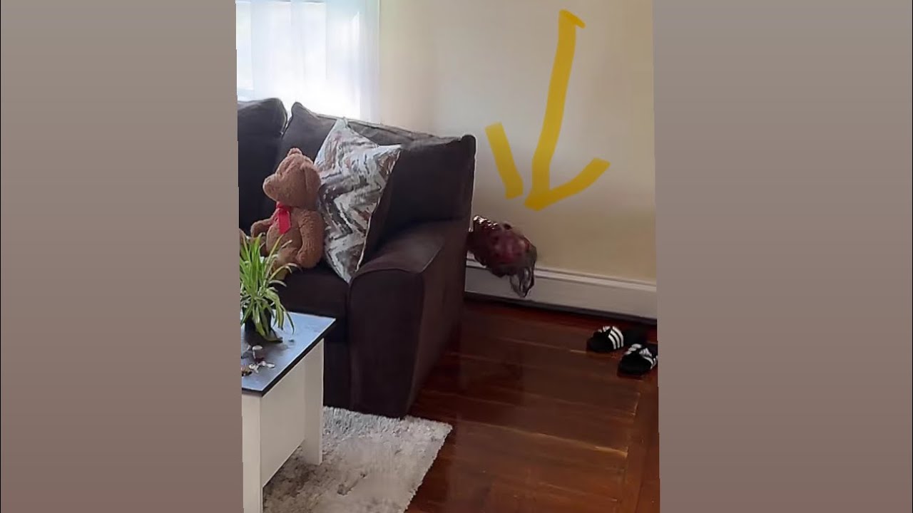Lante Plays Scary challenge babadook