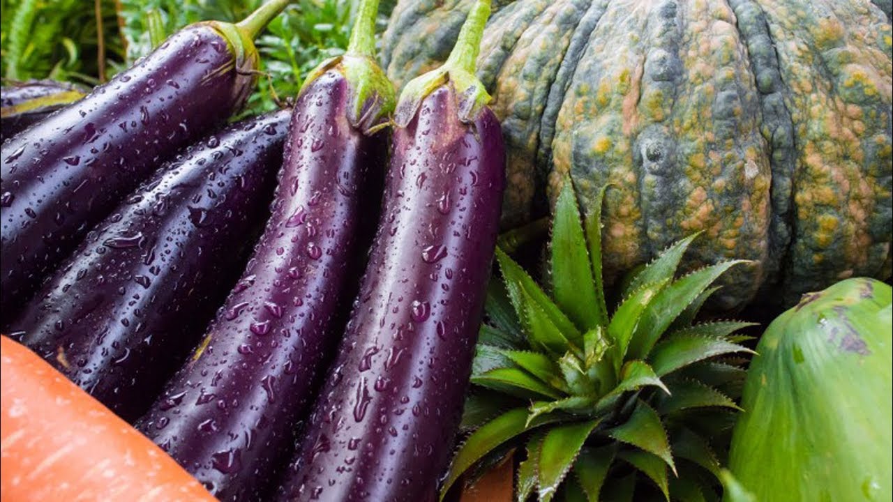 Как продуктовые магазины обманывают вас, заставляя тратить больше
