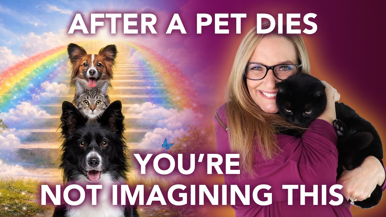 Death of a Pet. When a Pet Dies: Why You’re Still Feeling Them Near You