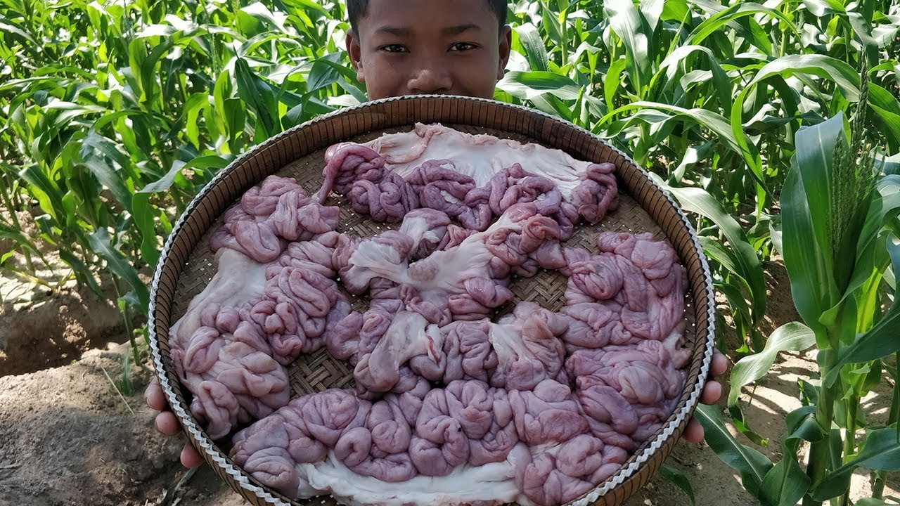 Crunchy Pig's Intestine Frying / Crispy Pigs Intestine Cooking / Kdeb Cooking