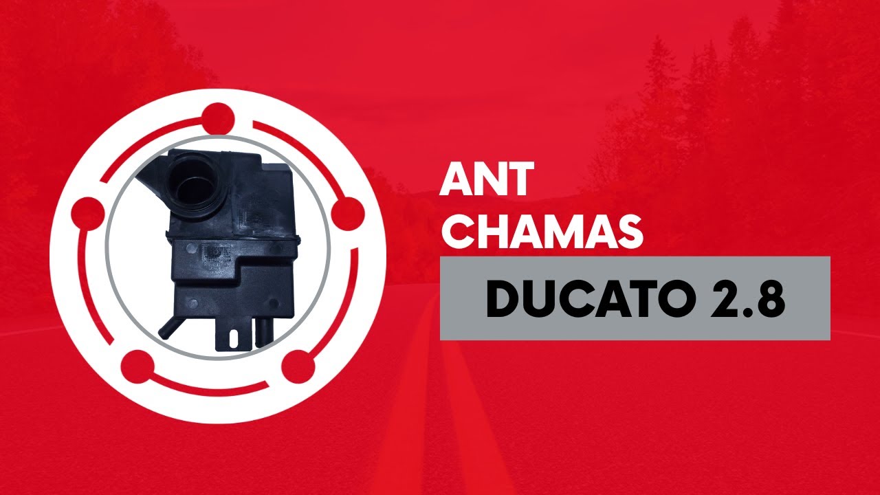 Anti Chama Respiro Ducato 2.8 Jtd 2006 Em Diante Original