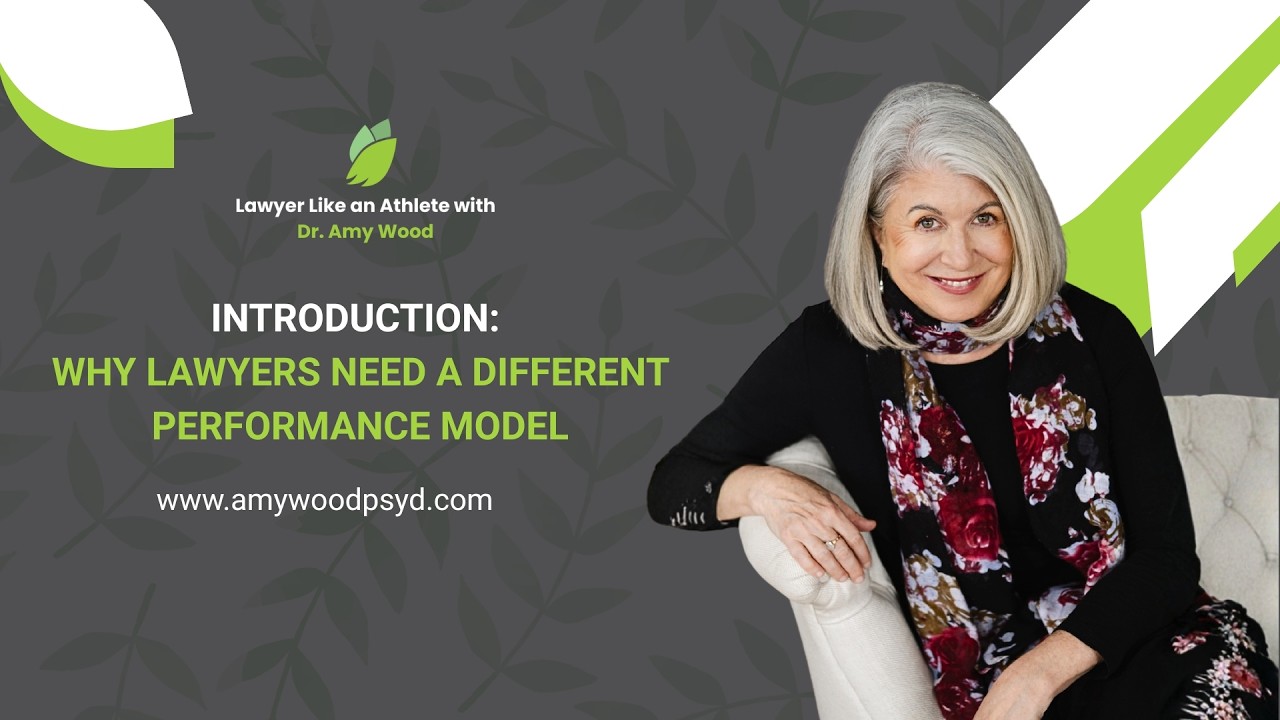 Introduction: Why Lawyers Need a Different Performance Model