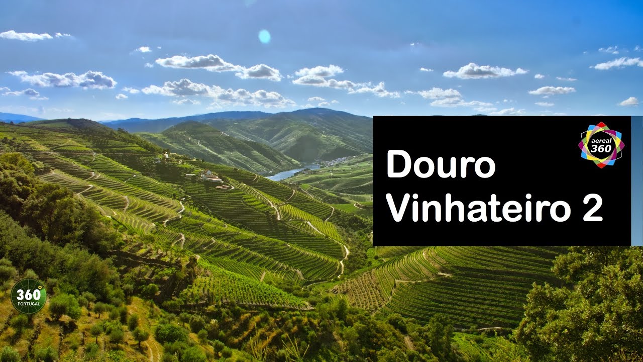 DOURO VINHATEIRO 2 🍷| PORTUGAL