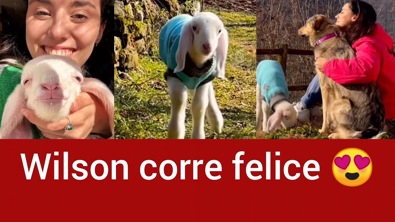 ☀️ Oggi tutti a fare una Passeggiata - Angolo di Paradiso Family #vlog