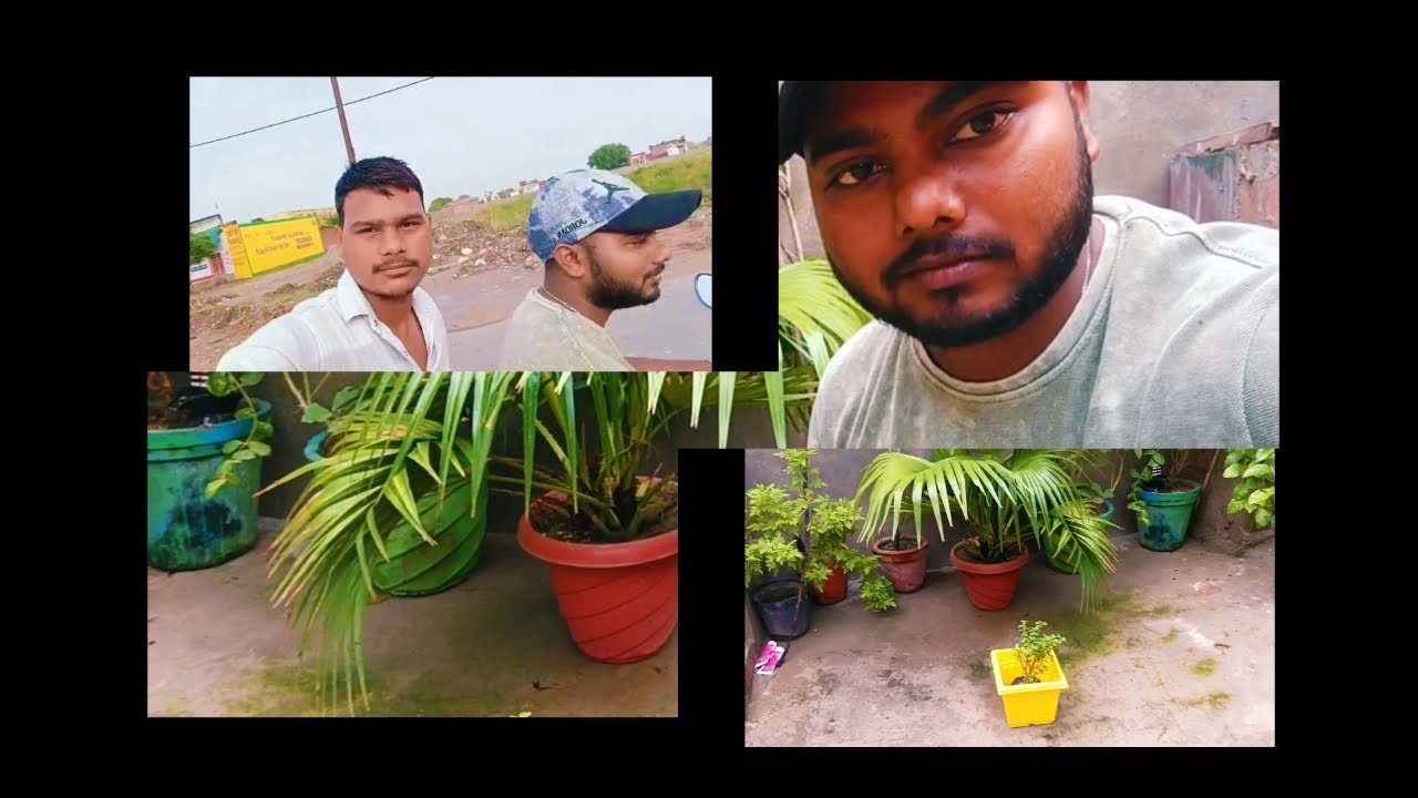 EXPLORING the Wonders of NATURE || MY DAILY PLANT ADVENTURES #plants #viral #nature #tranding