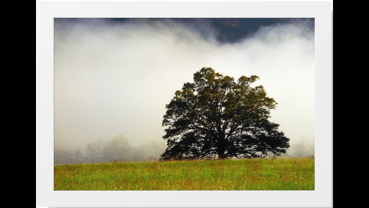 Creating Wall Art from Nature Photography Prints