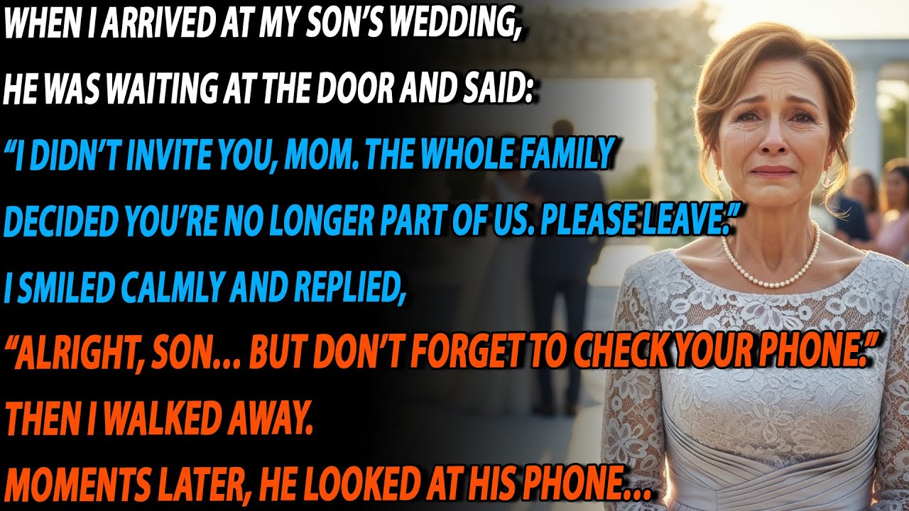 😱 My Son Rejected Me at His Wedding—His Phone Exposed a Heartbreaking Truth 💔