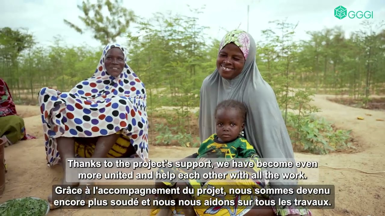 Reviving the Land, Empowering Communities – Land Restoration in the Kuilse region of Burkina Faso