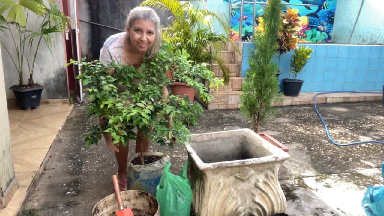 PLANTANDO JABUTICABA EM VASO, CONSTRUINDO, MEU INCRÍVEL JARDIM 