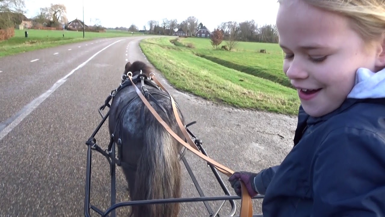 Paard & Vlog 4 Bifi voor de kar