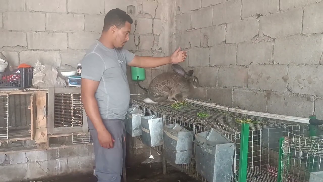 تبع اخوك ايوب باش يكون في المزرعه ديالك النجاح اخوك ايوب غادي بالطريقه الصحيحه