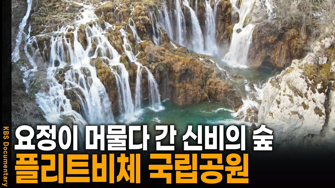 요정이 머물다 간 크로아티아 신비의 숲, 플리트비체 국립공원 | KBS 20250516 방송