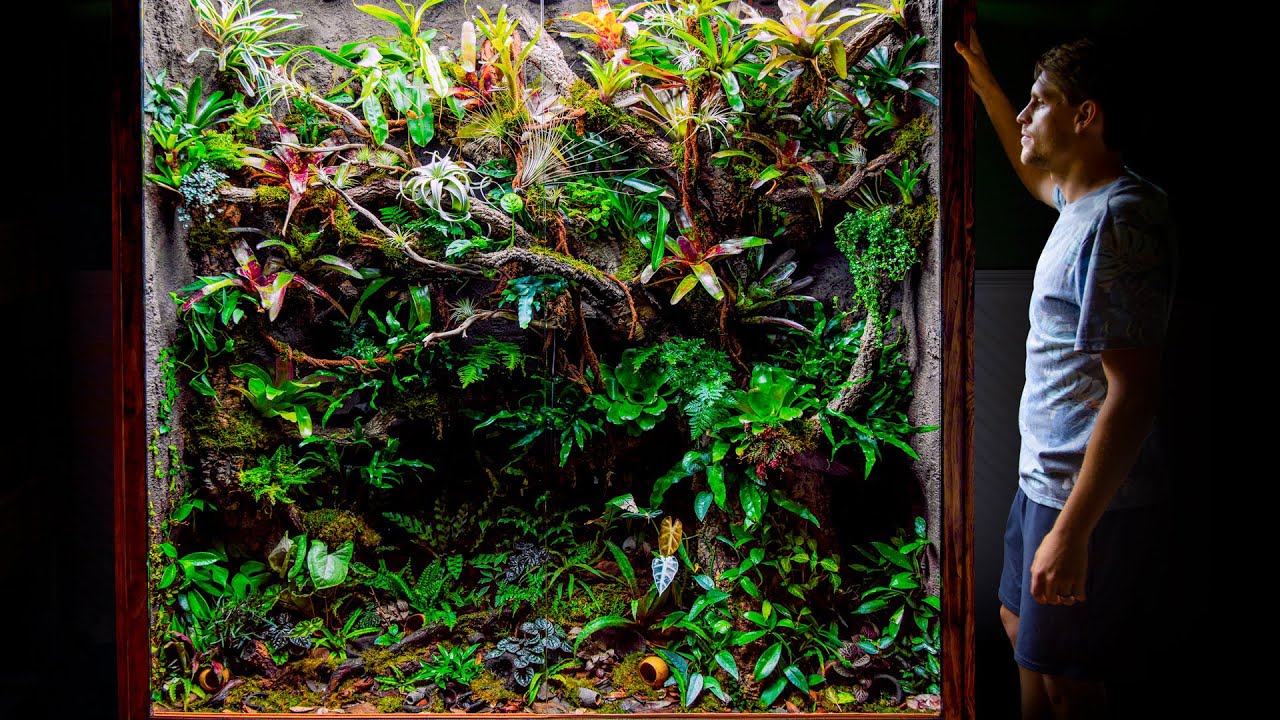 Giant DIY 600 Gallon Jungle Vivarium