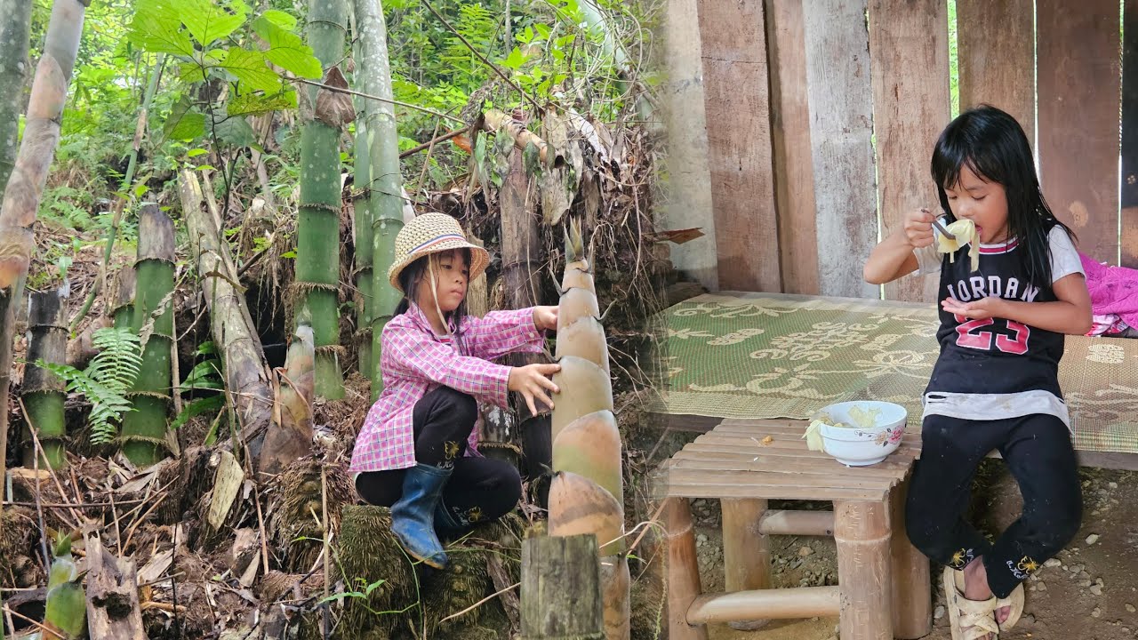 The poor girl worked hard in the forest to cut bamboo shoots, then came home to cook and make cakes