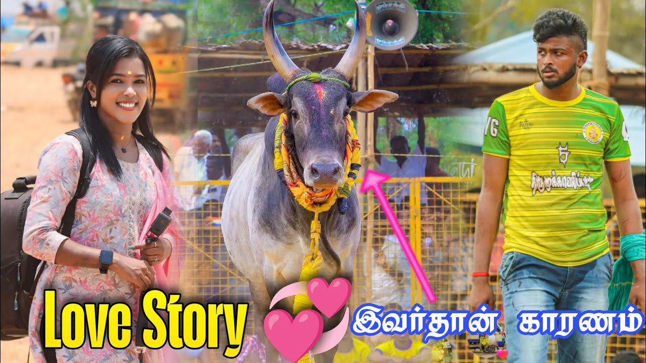 Love story ஒரு வழியா சொல்லியாச்சு 🤪