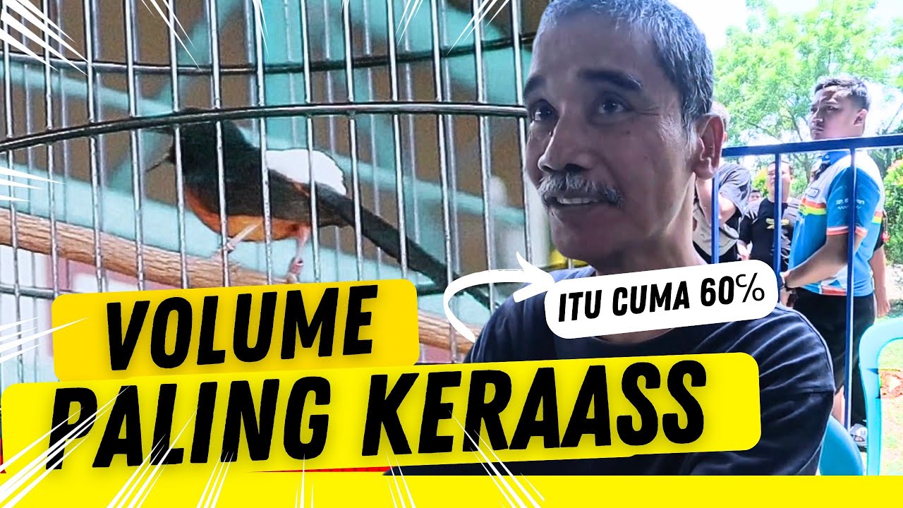 DUUAAARRRR  ‼️ Volume Murai ini 👍 Kelas Utama A Murai Panglima di  Kopdar RPM