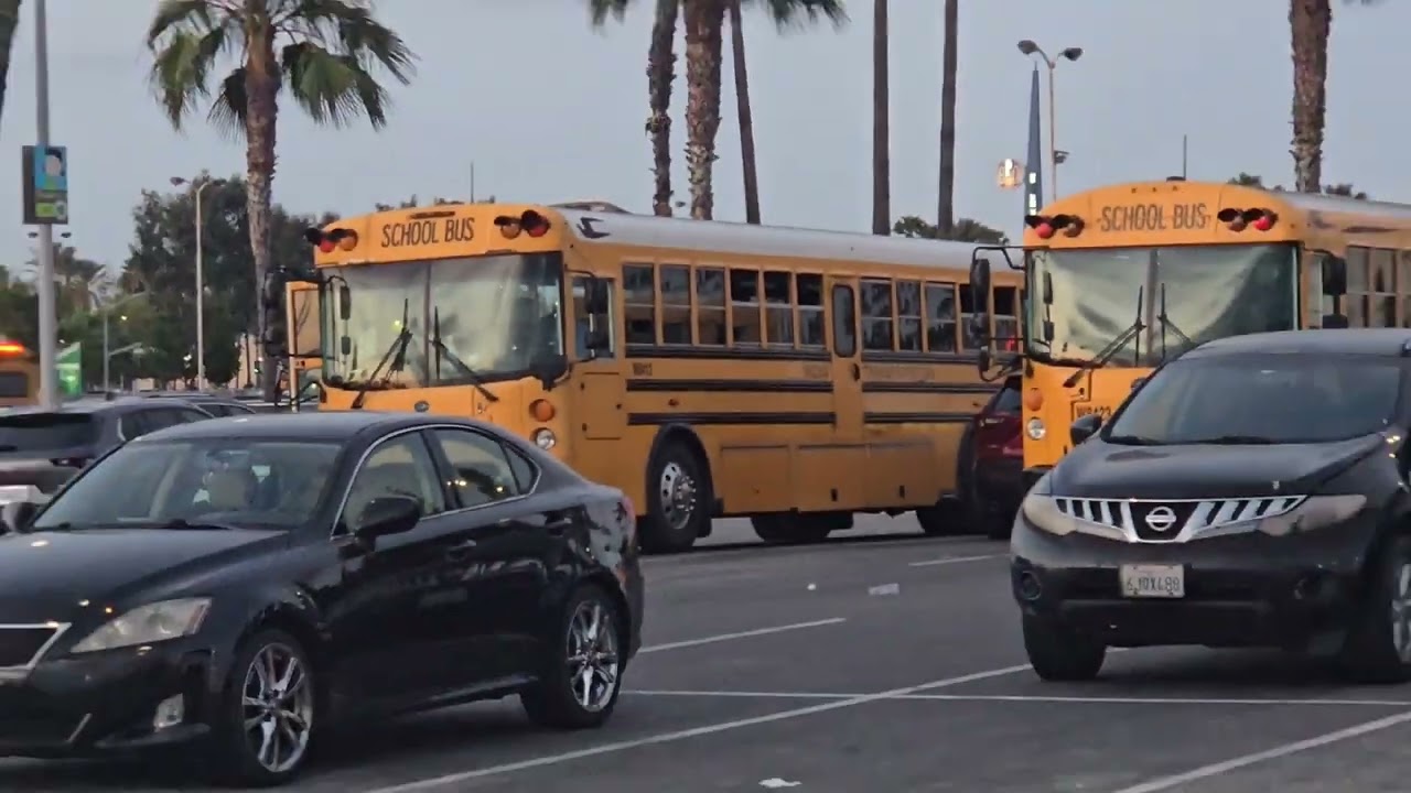 School buses and other buses to from and around Knott's Berry Farm today.
