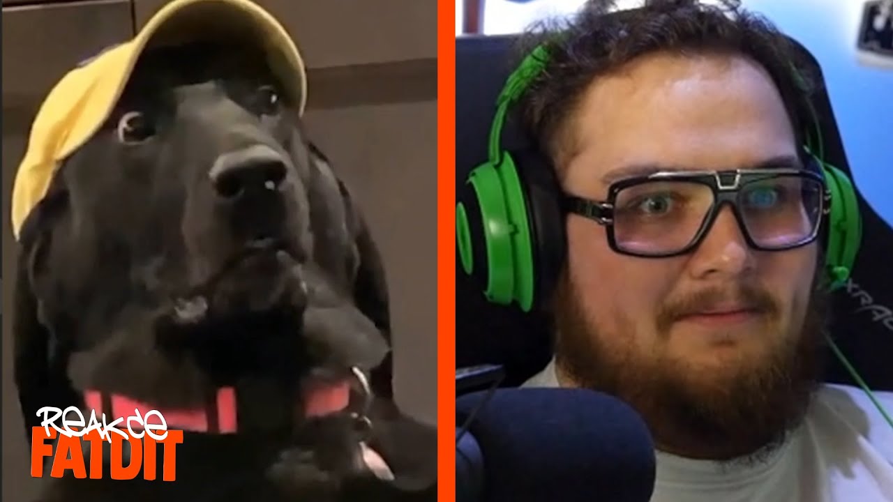 KDYŽ SE RODINA POHÁDÁ U VEČEŘE