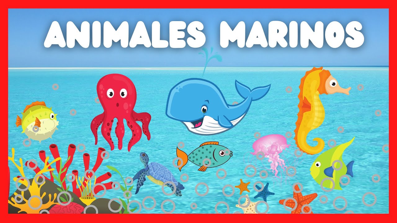 ➡️ ANIMALES MARINOS para NIÑOS en Español | Animales Acuáticos🐬  🐠  🐙