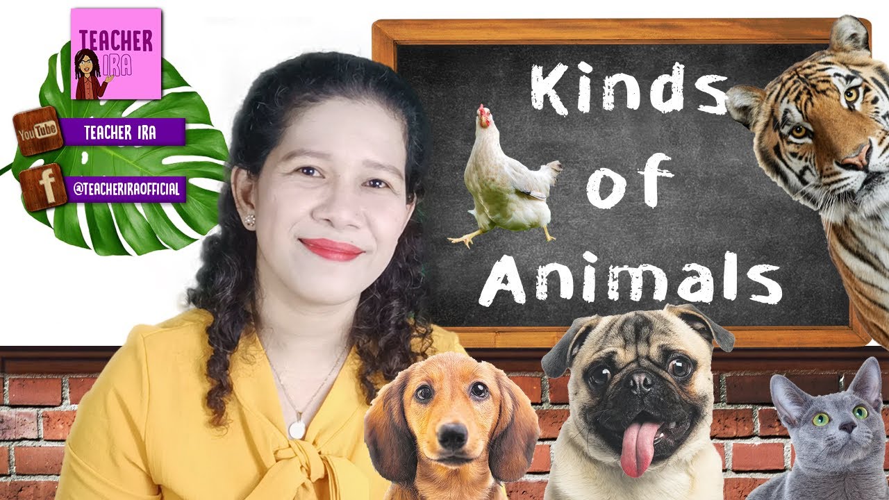 Kinds of Animals | Learn How to Classify the Animals | Science with Teacher Ira