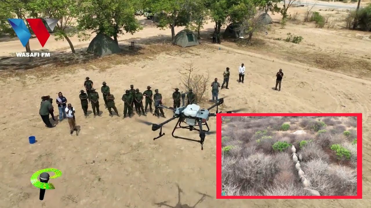 TAZAMA ASKARI WA TAWA WANAVYOTUMIA NDEGE NYUKI KUWASWAGA TEMBO