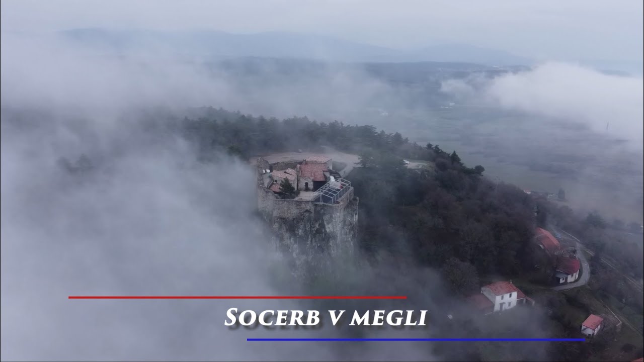 Socerb v megli