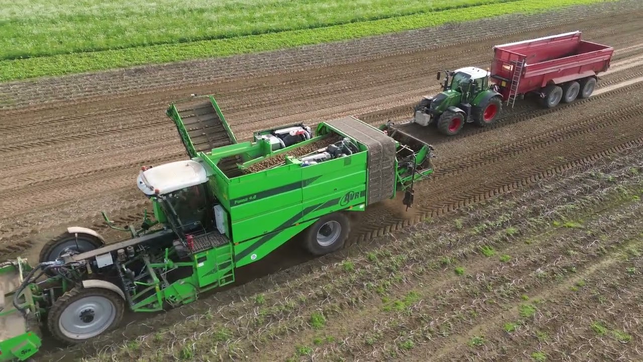 AVR Puma 4.0 mit Fendt-, JohnDeere 7720 Gespann in den Kartoffeln.