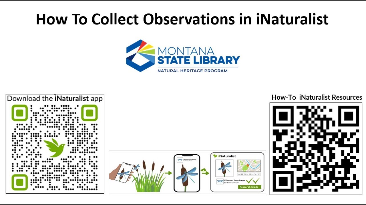 iNaturalist собирает наблюдения