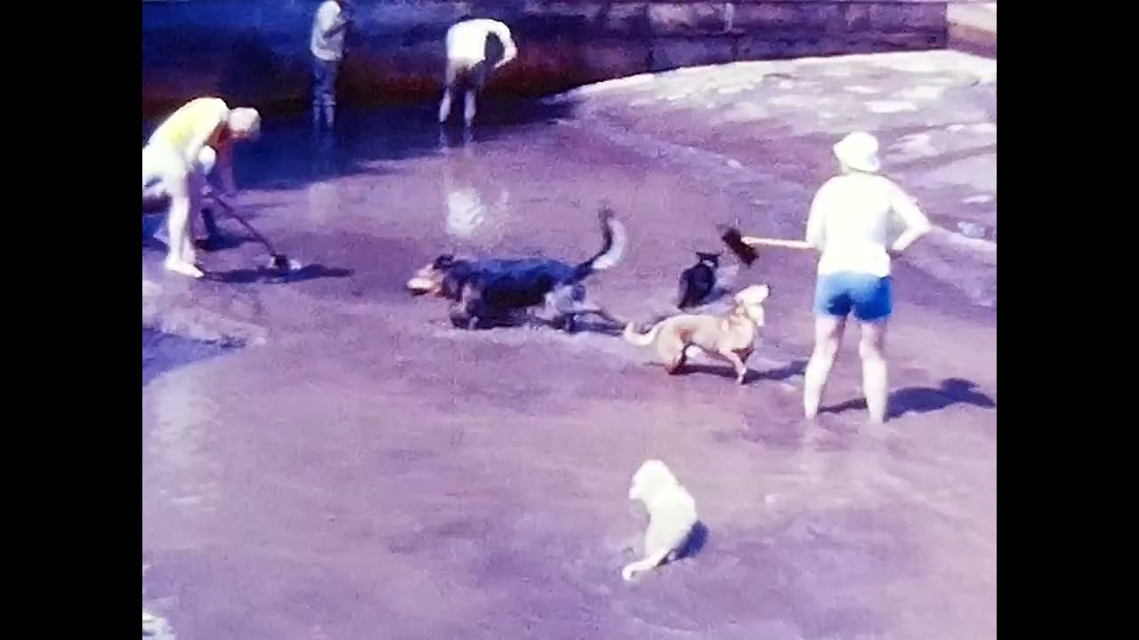 People working on a drainage issue 1970s