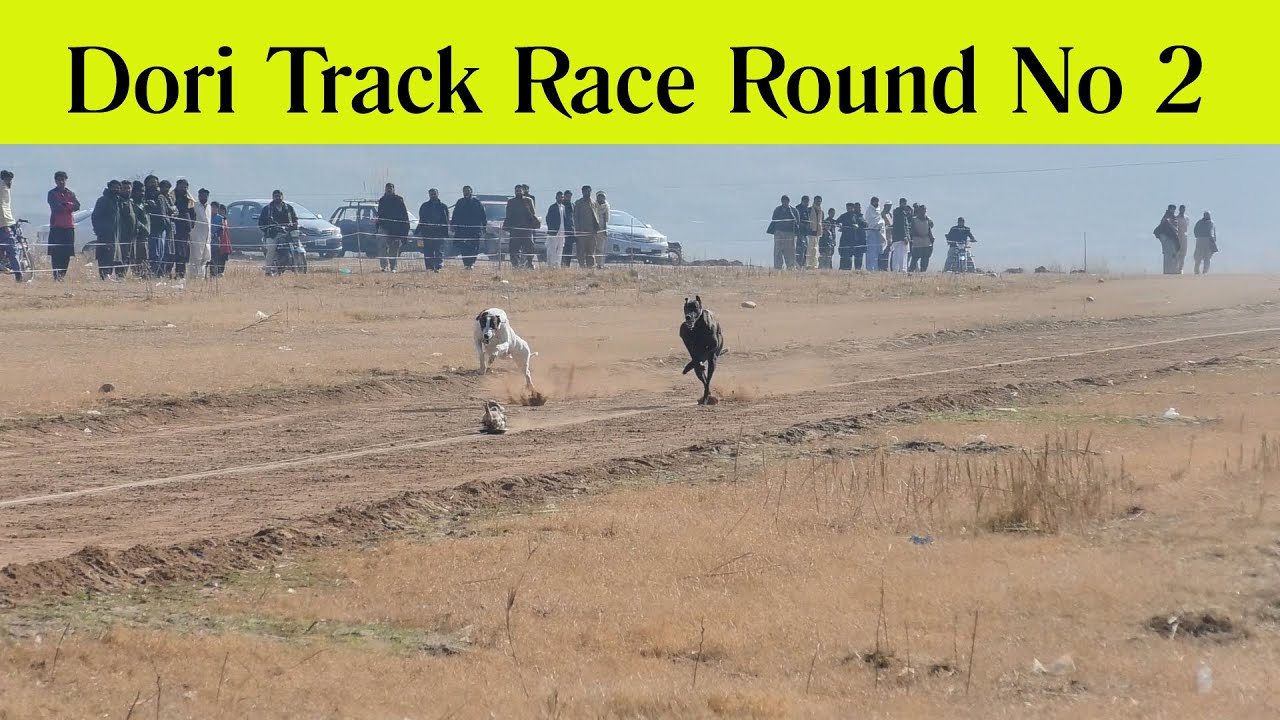 Dori Track Race Dadhocha | Round No 2 | 15-01-23 | SP Studio 216  Mob 0321-7733216