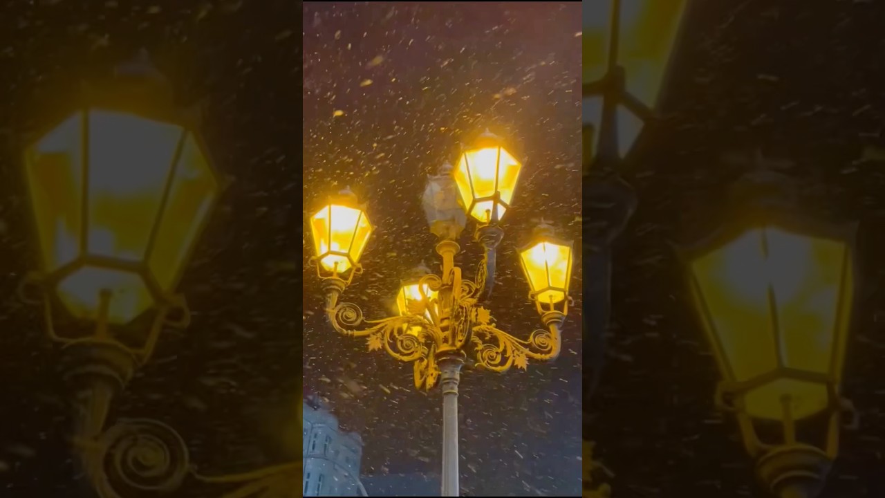 That happens when it is snowing in Berlin #city #winterwonderland #snow #travel #winter #snowfall