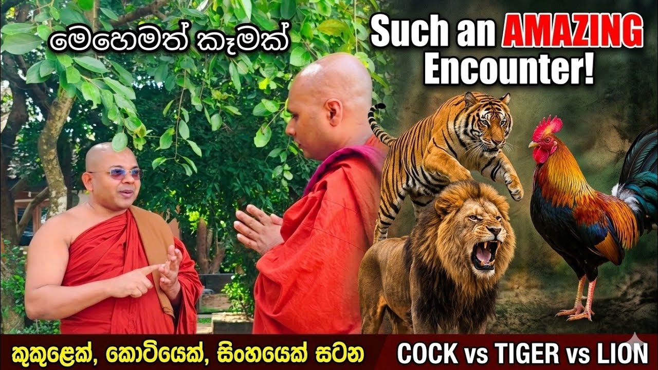 මෙහෙමත් කෑමක්
