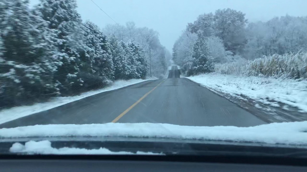 On the way to work in cuddy farm 🥚