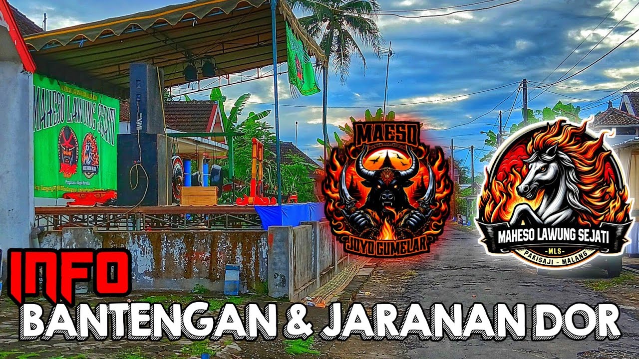 INFO BANTENGAN JARANAN DOR‼️MAHESO LAWUNG SEJATI × MAESO JOYO GUMELAR | Pamotan Street Karangtengah