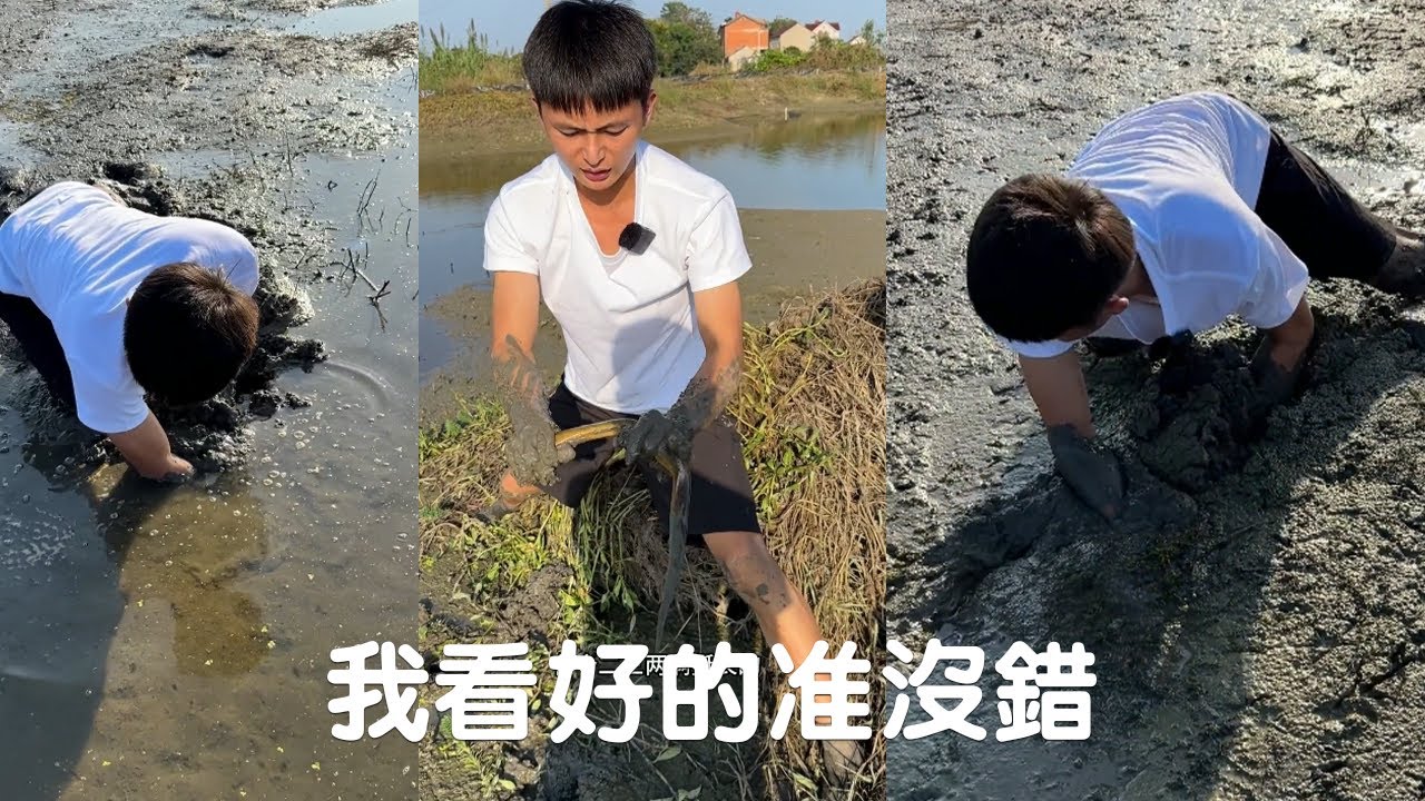 這個老板挺爽快的，200塊一口就答應了，我看好的準沒錯！難道我還玩不起啊#熱門#viralvideo #fishing #抓魚