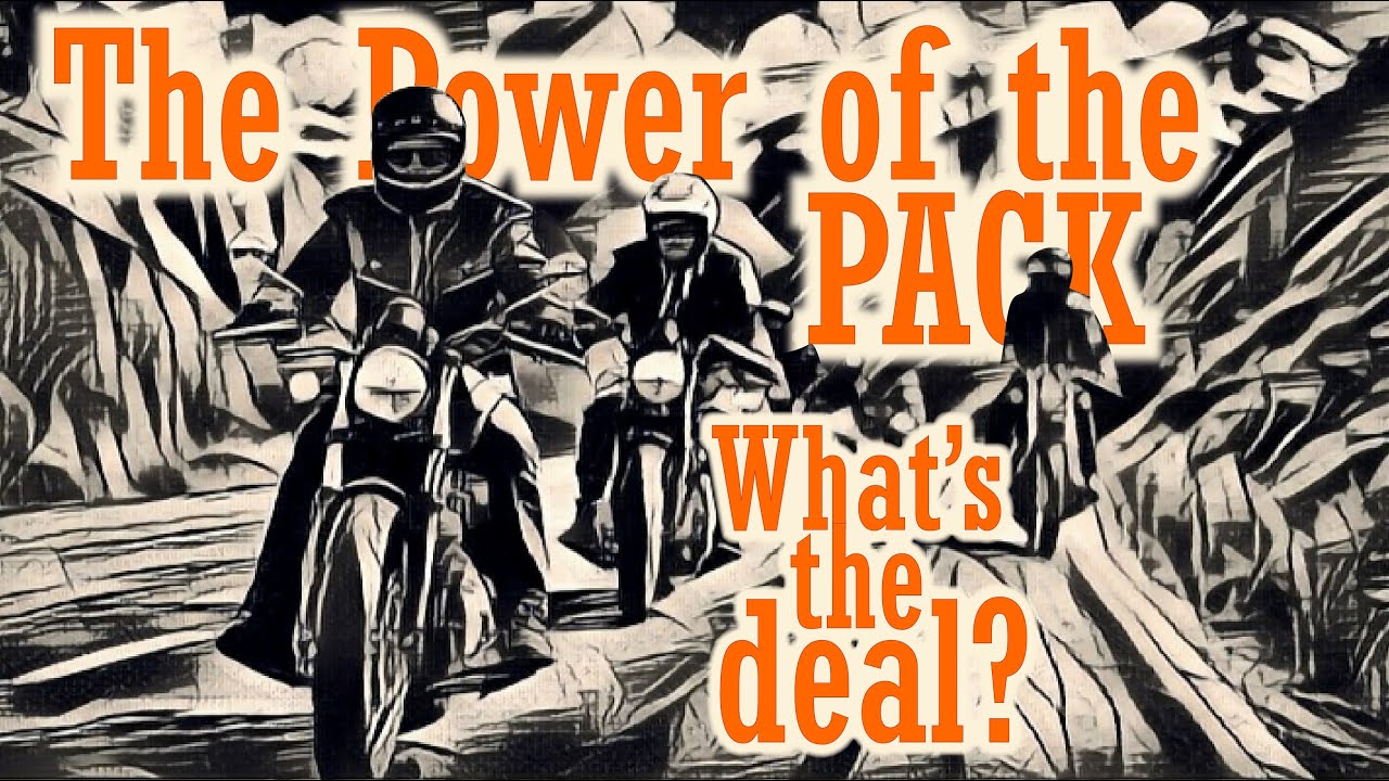 Why do Bikers Ride in Groups? - Motorcycle Riding Hangout, Stories from the Saddle