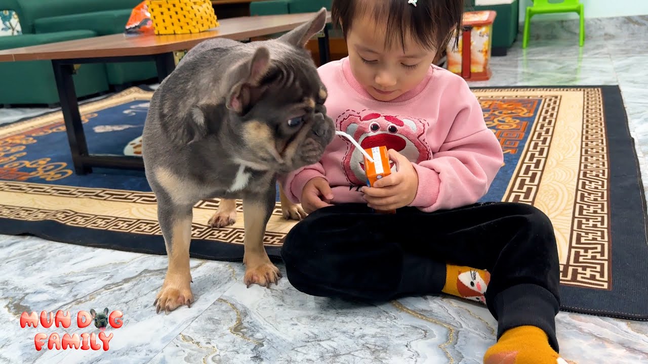 So Funny! Mun is happy when Diem gives him milk to drink