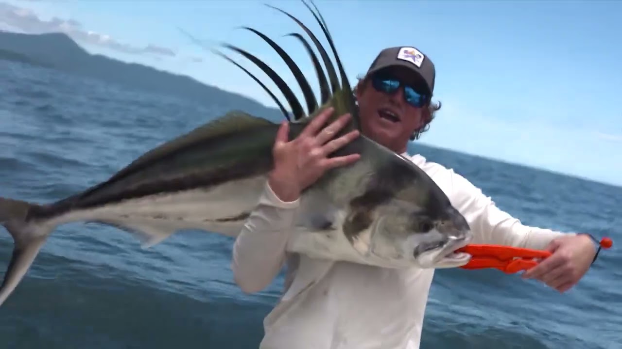 BigWater Adventures Satellite-Tag Roosterfish at Panama's Tropic Star Lodge