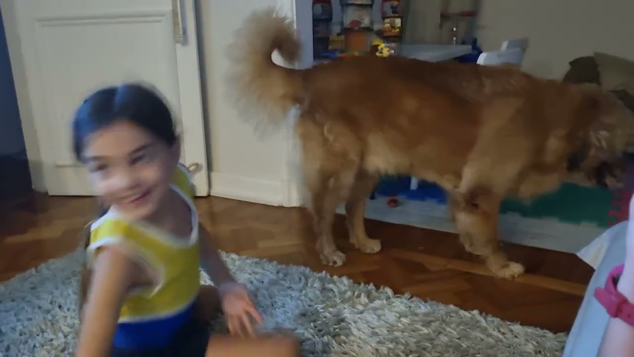 Laura e Pedro brincando com o Simba | 11.10.23