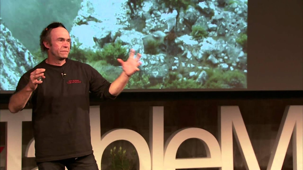 Playing in the urban wilds: Andy de Klerk at TEDxTableMountain