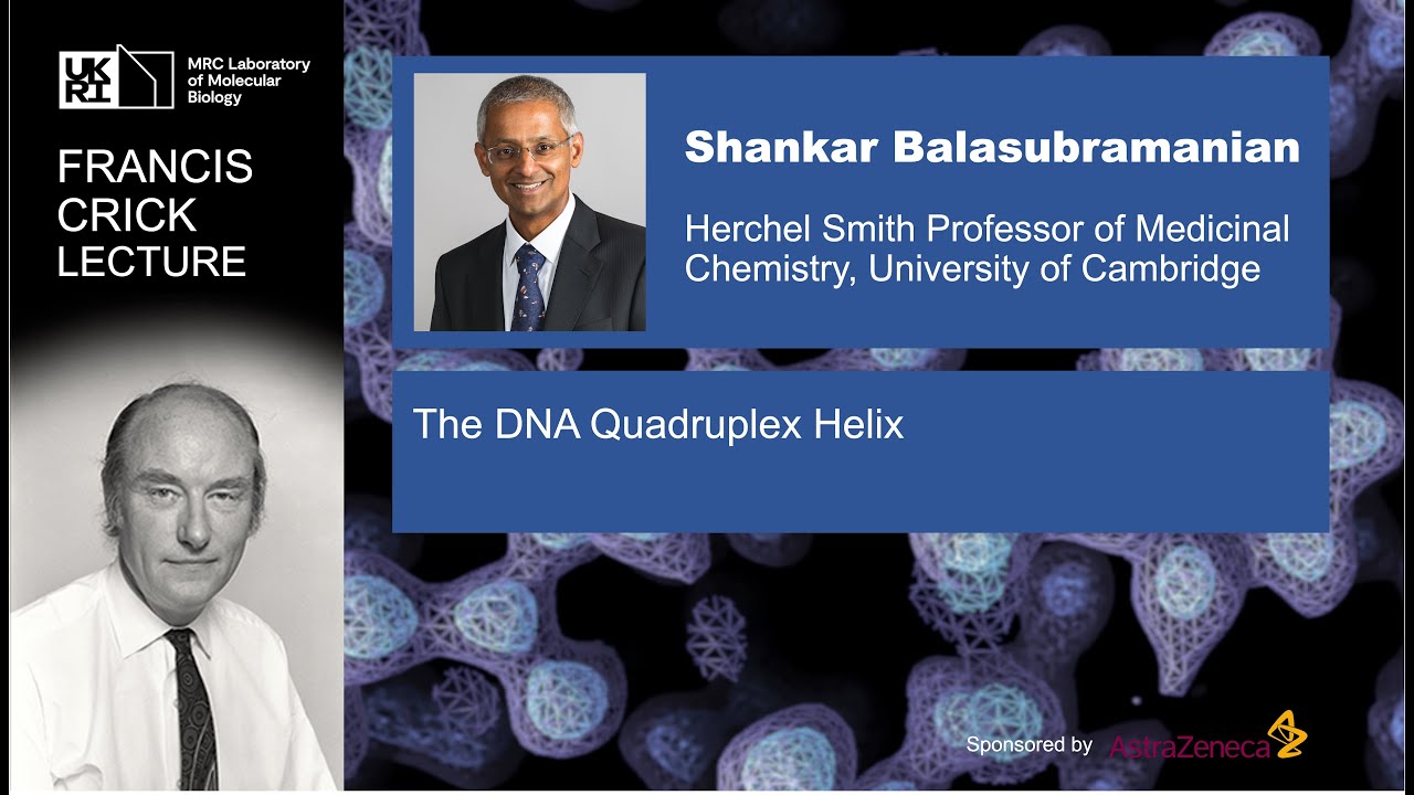 Лекция Крика 2025: Квадруплексная спираль ДНК Шанкара Баласубраманяна