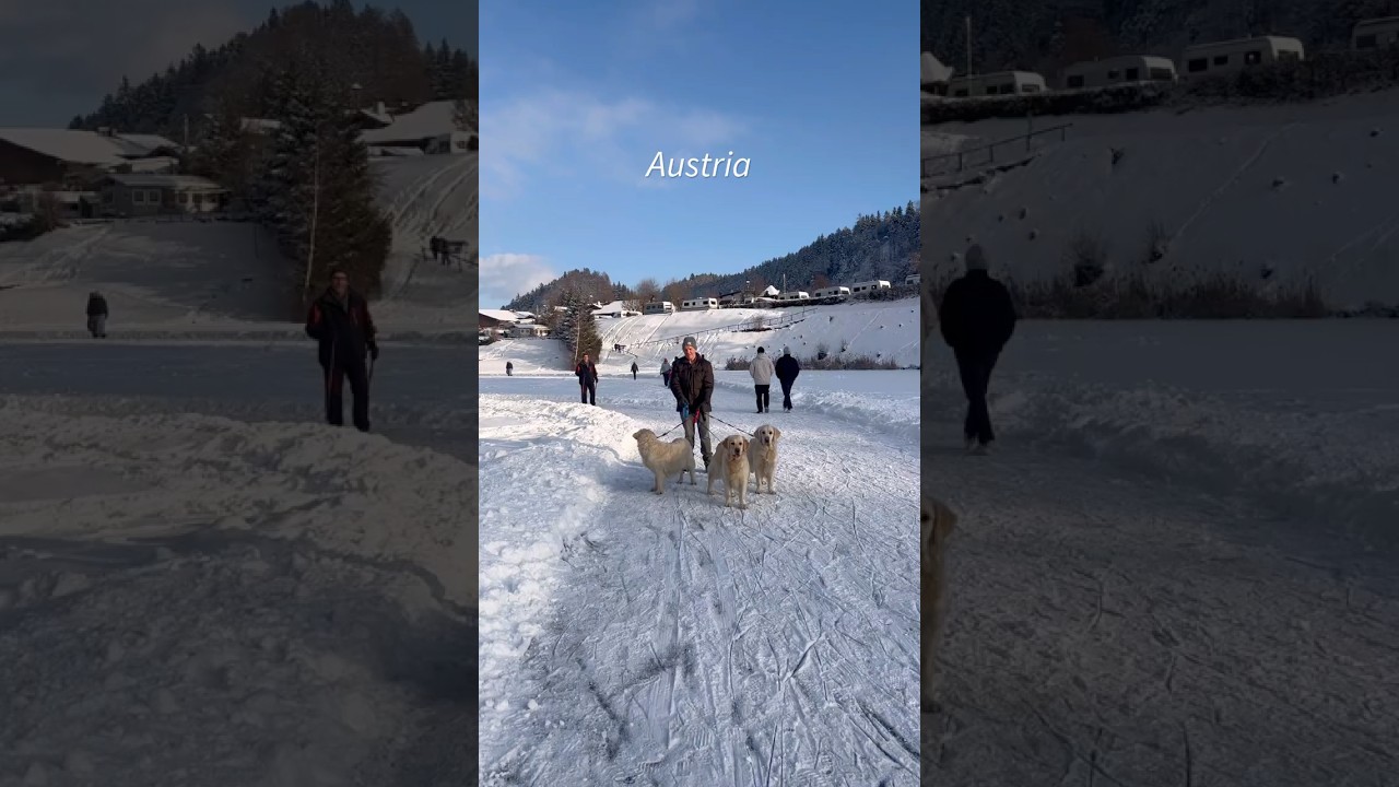 📍Austria🇦🇹 