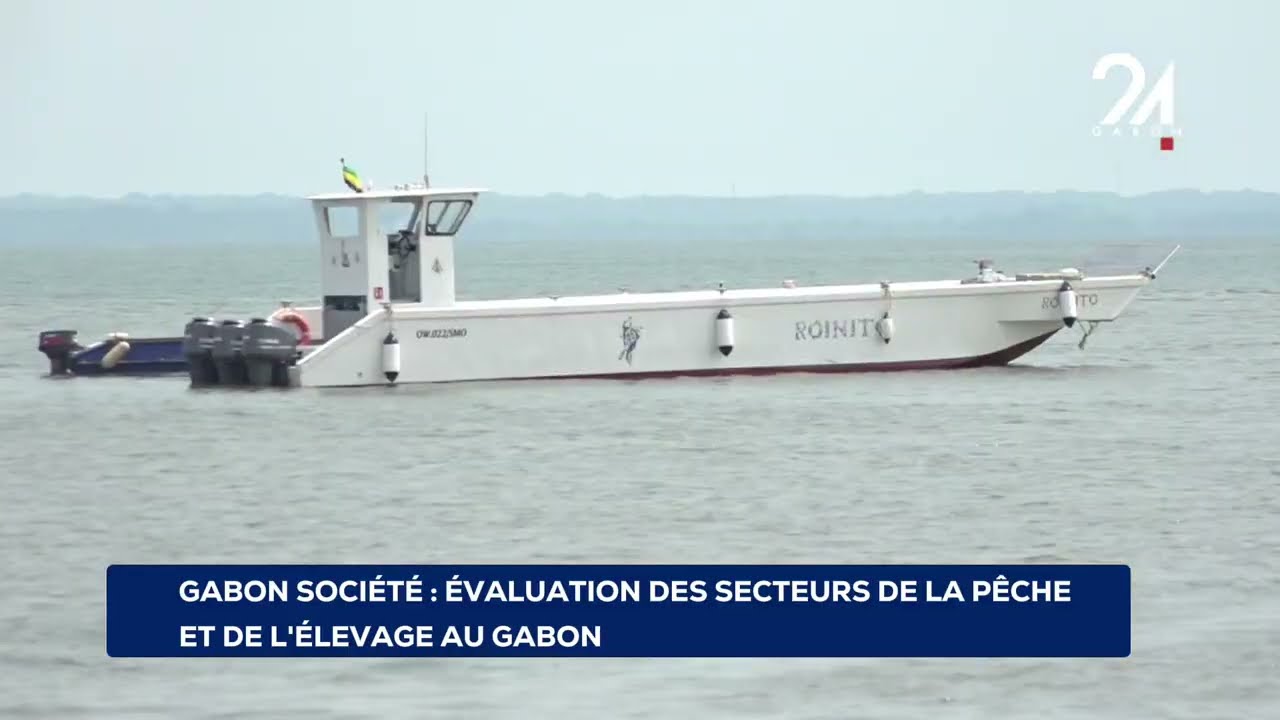 GABON SOCIÉTÉ ÉVALUATION DES SECTEURS DE LA PÊCHE ET DE L'ÉLEVAGE AU GABON