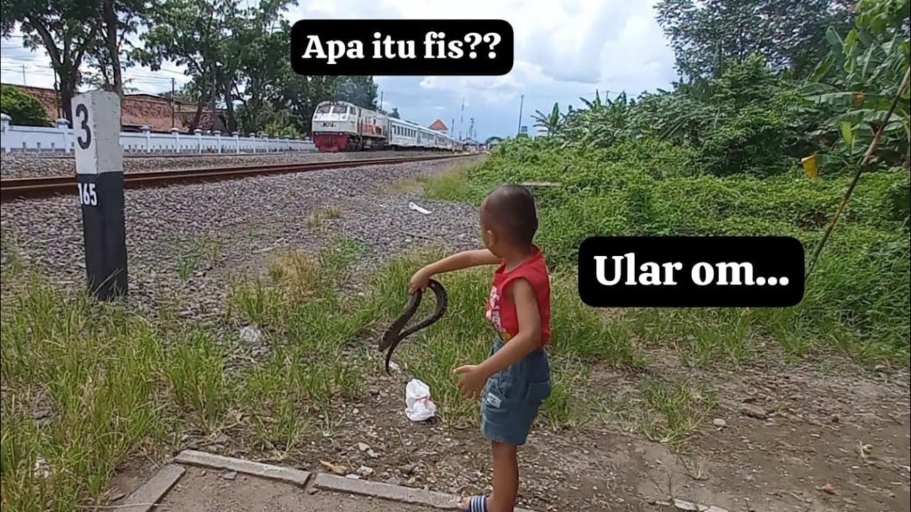 KERETA HAMPIR NABRAK ULAR #anakkereta #keretaapi #railfan #lucu 