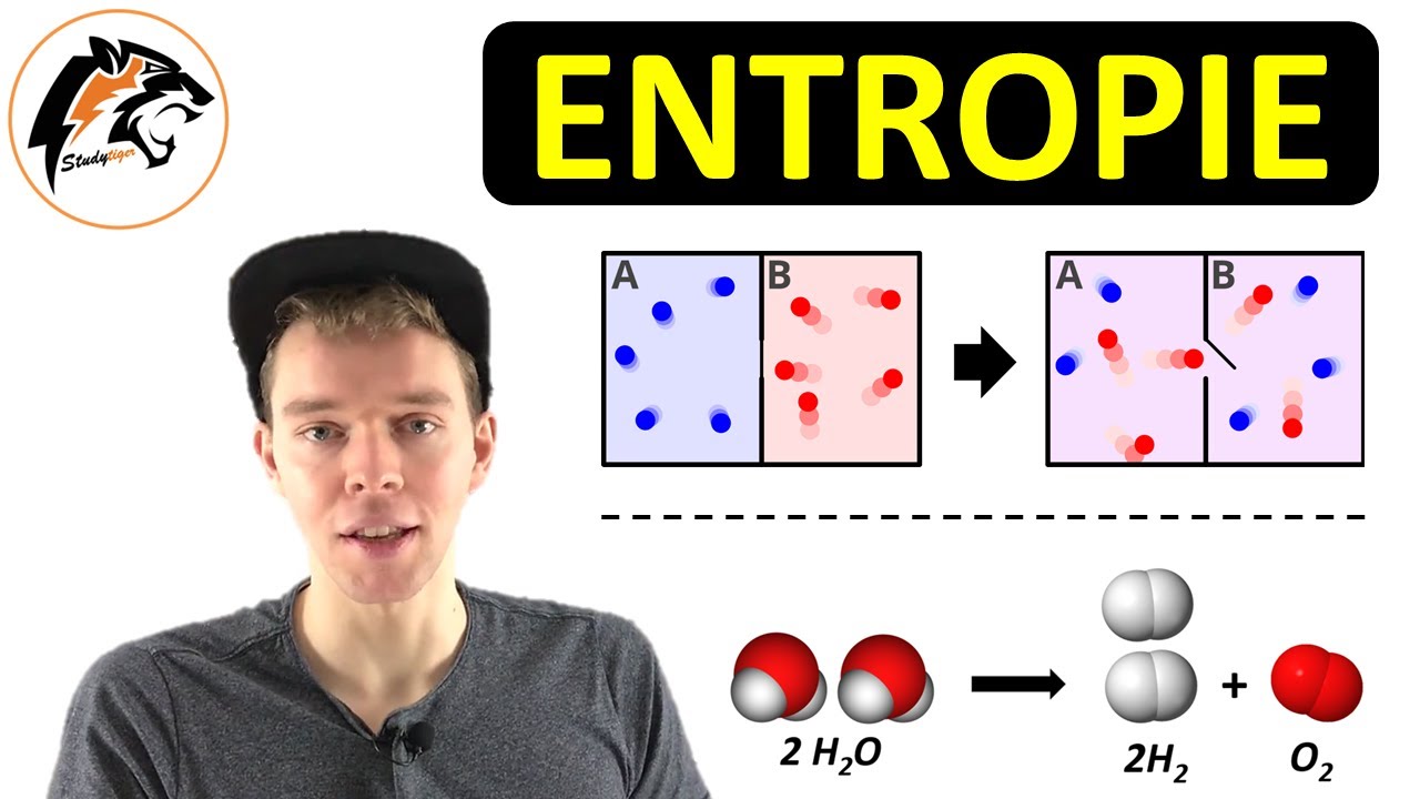 ENTROPIE (Thermodynamik) | NEU