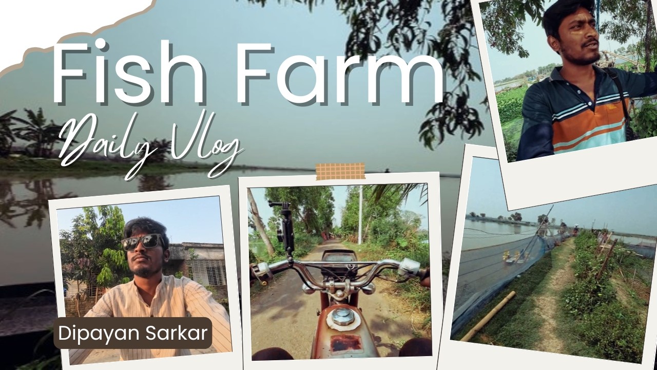 Inside My Brother’s Fisheries 🐟 | Fish Farming in Village Bangladesh | Daily Vlog