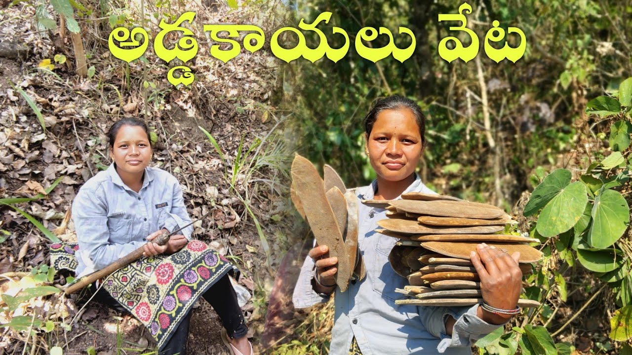 🌄 Araku Addakayalu | Araku Valley Local Food & Village Life Exploration 🍃