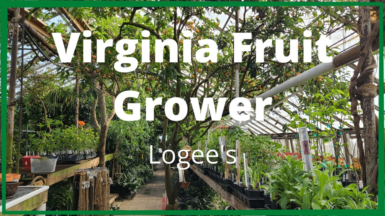 Logees Tour Walk Through