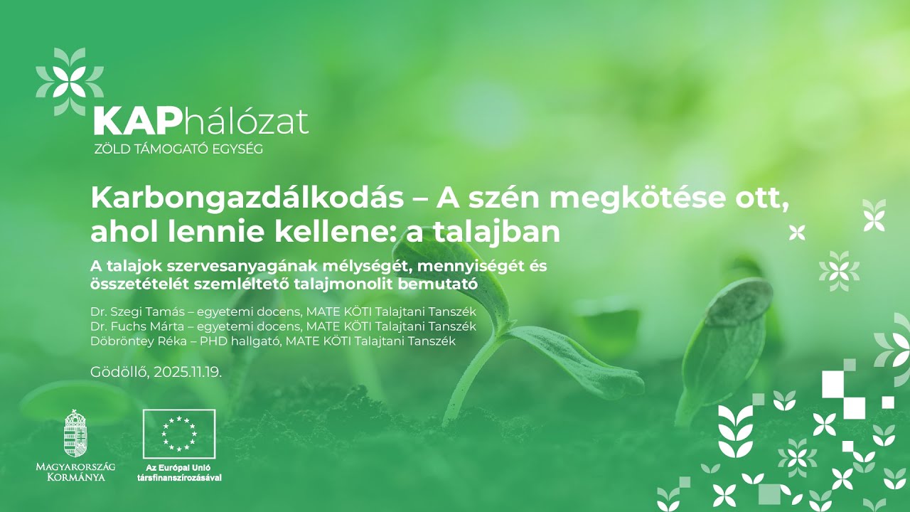 A talajok szervesanyagának mélységét, mennyiségét és összetételét szemléltető talajmonolit bemutató